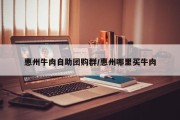 惠州牛肉自助团购群/惠州哪里买牛肉
