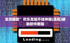 实测辅助”欢乐龙城开挂神器(透视)辅助软件教程