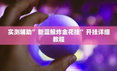 开挂辅助工具“郸城打枪游戏辅助”其实确实有挂