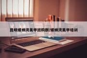 昆明螺蛳湾美甲团购群/螺蛳湾美甲培训