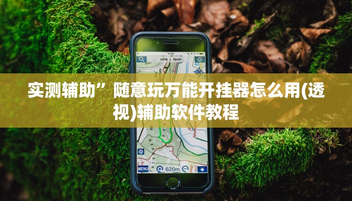 实测辅助”福州十八扑开挂方法”详细开挂教程