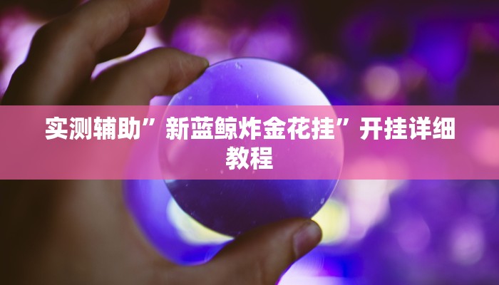 开挂辅助工具“郸城打枪游戏辅助”其实确实有挂