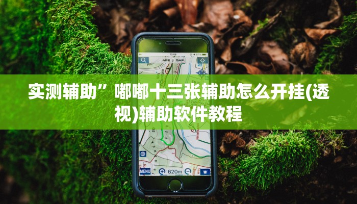 实测辅助”星悦跑胡子万能开挂通用版”开挂详细教程