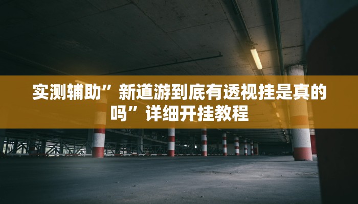 教程辅助“人海大厅透视开挂”开挂详细教程