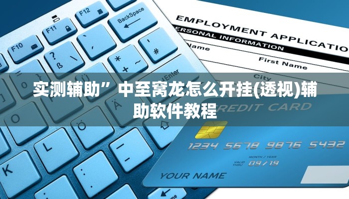 实测辅助”中至窝龙怎么开挂(透视)辅助软件教程