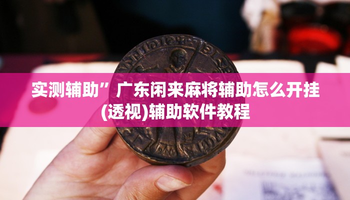 辅助神器“七彩云南游戏开挂神器”详细开挂教程