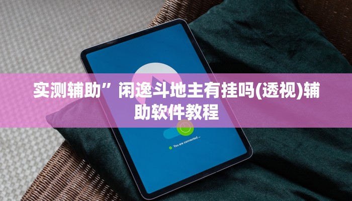 实测辅助”闲逸斗地主有挂吗(透视)辅助软件教程