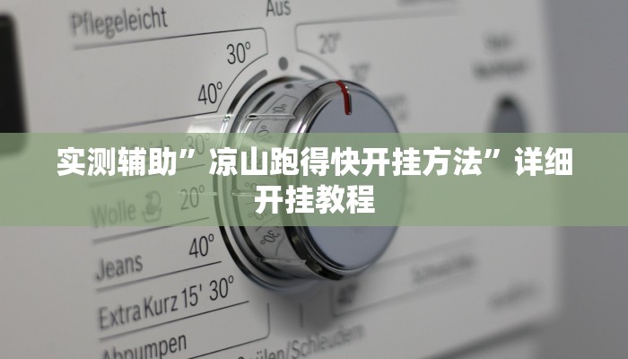 实测辅助”吉祥填大坑辅助器(透视)辅助软件教程